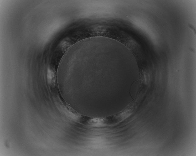 X0000101990526200807181151