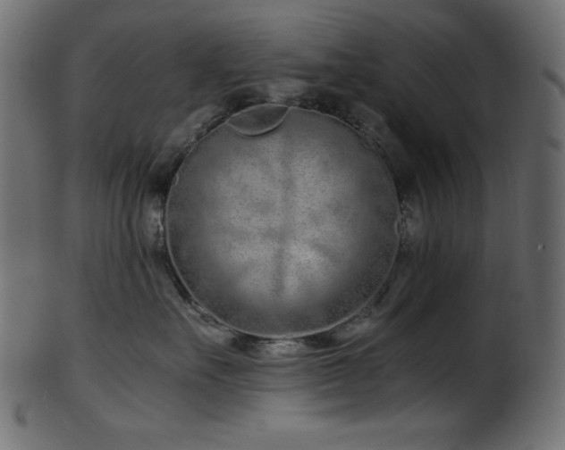 X0000101990527200807181151