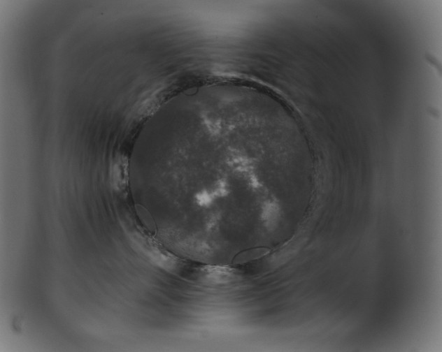 X0000101990528200807181151