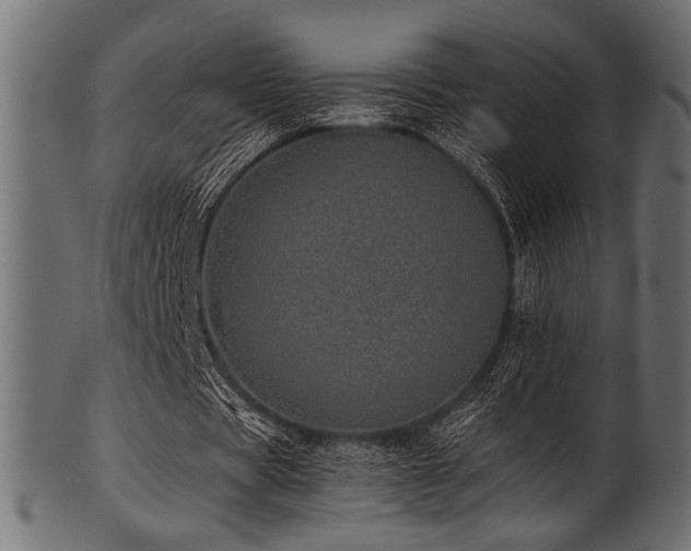 X0000101990529200807181150