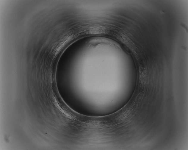 X0000101990530200807181150