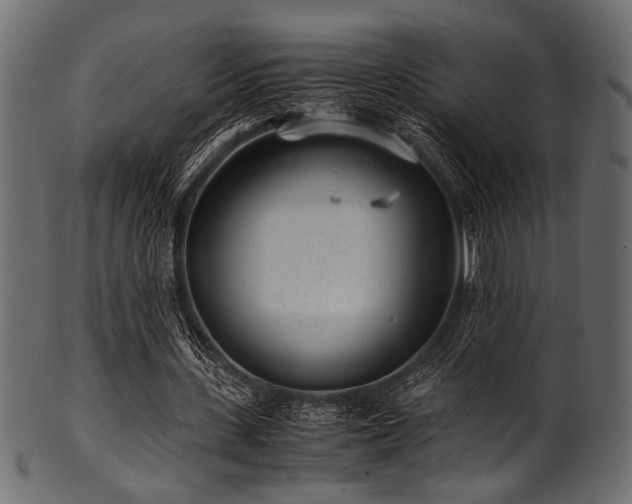 X0000101990531200807181150