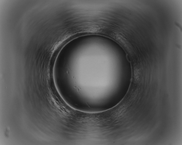 X0000101990532200807181150