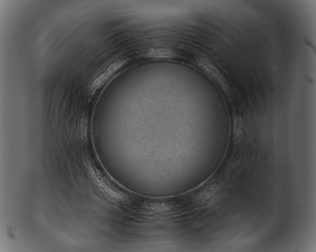 X0000101990533200807181150
