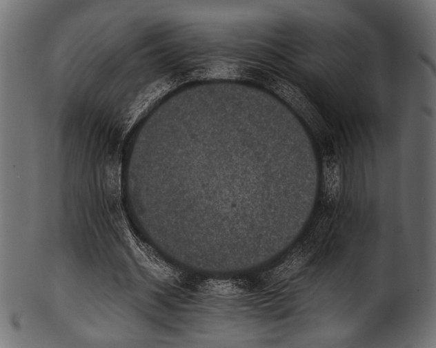 X0000101990534200807181150