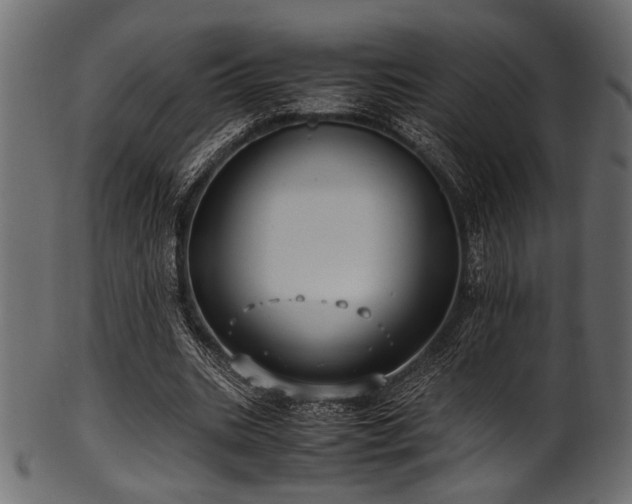 X0000101990535200807181150
