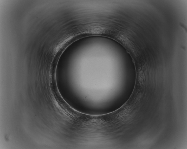 X0000101990536200807181150