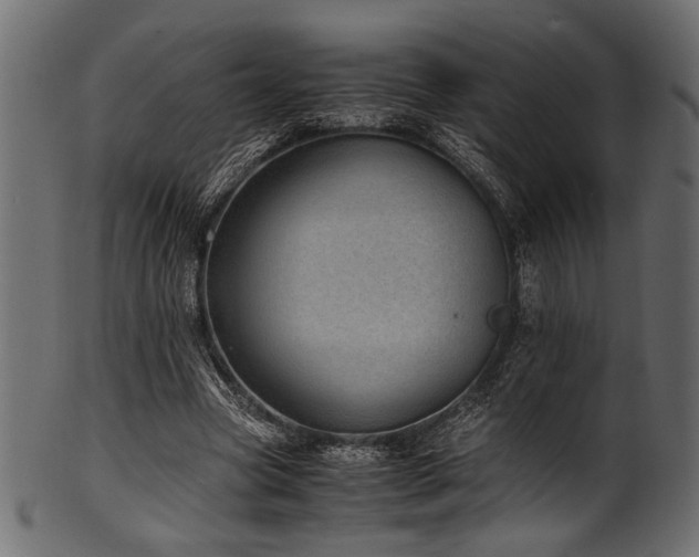 X0000101990537200807181150