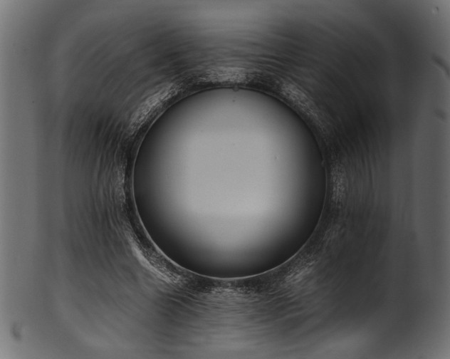X0000101990538200807181150