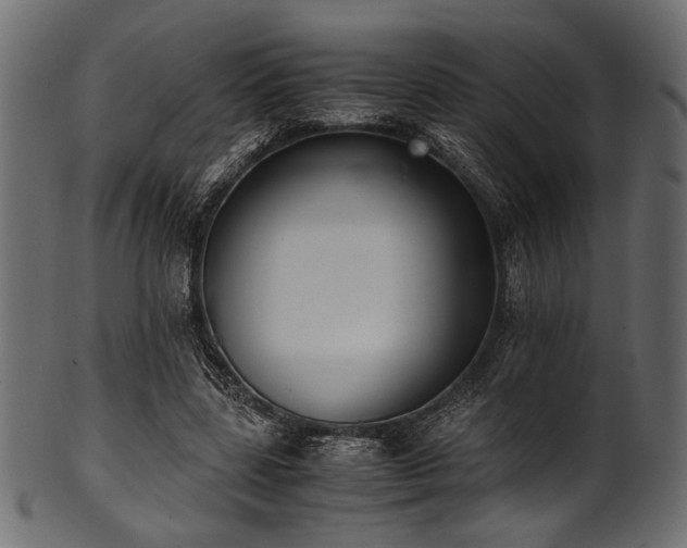 X0000101990539200807181150