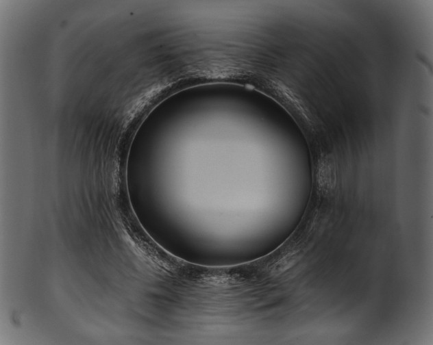 X0000101990540200807181150