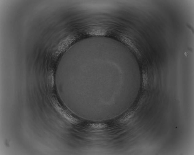 X0000101990541200807181150
