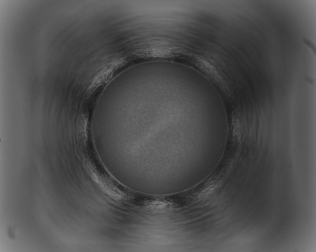 X0000101990542200807181150