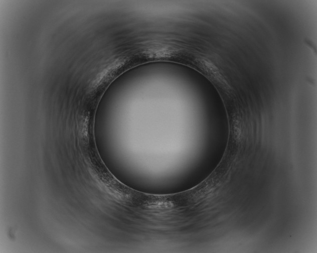 X0000101990543200807181150