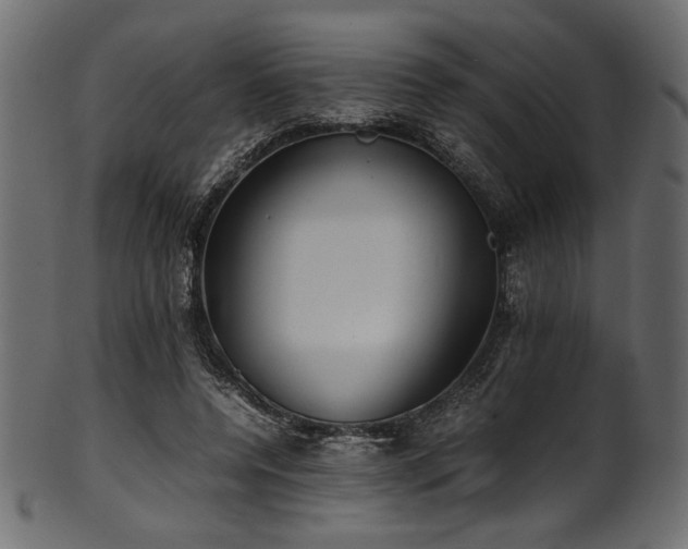 X0000101990544200807181150