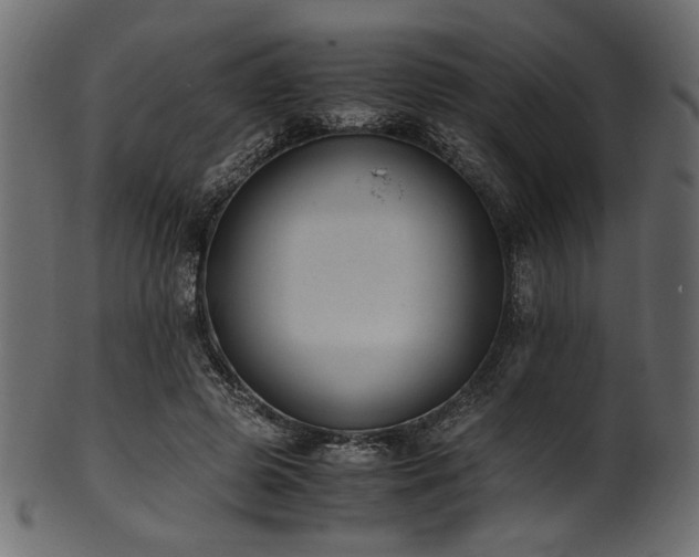 X0000101990545200807181150