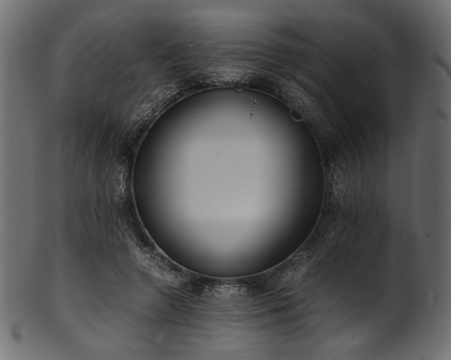 X0000101990546200807181150
