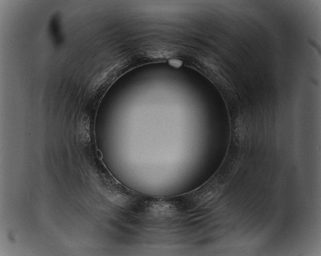 X0000101990547200807181150