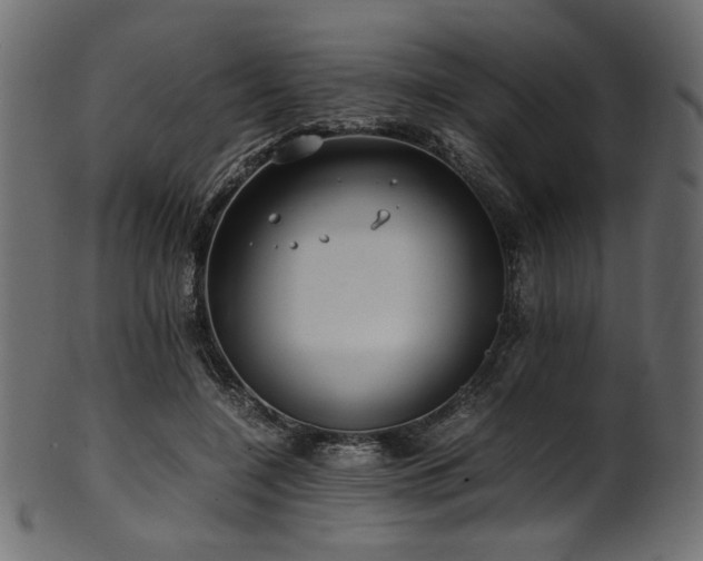 X0000101990548200807181150