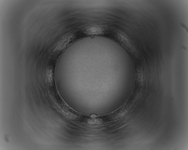 X0000101990549200807181150