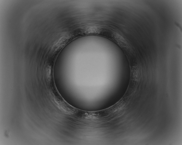 X0000101990550200807181150