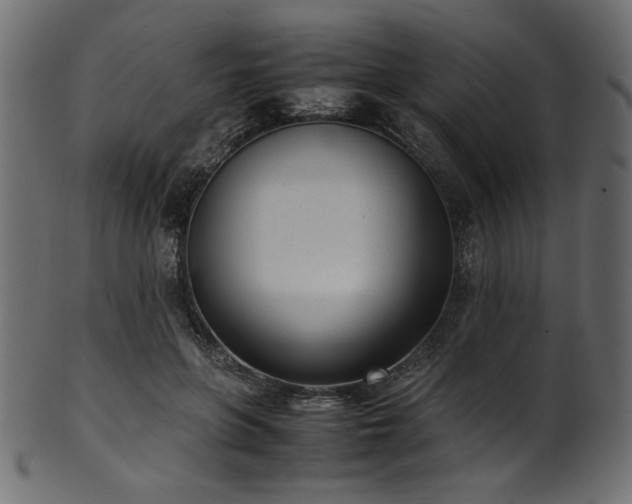 X0000101990551200807181150