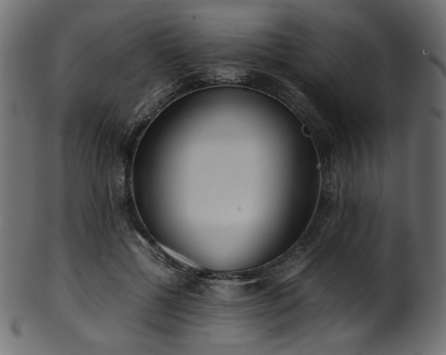X0000101990552200807181150