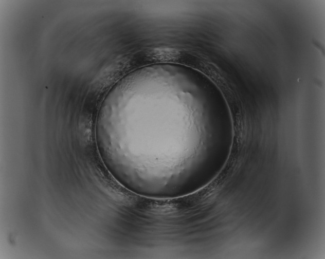 X0000101990553200807181150