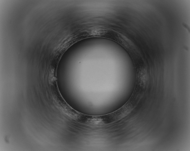 X0000101990554200807181150