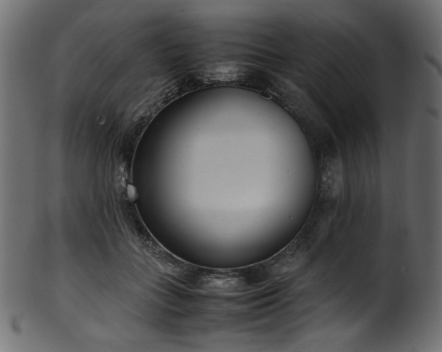 X0000101990555200807181150