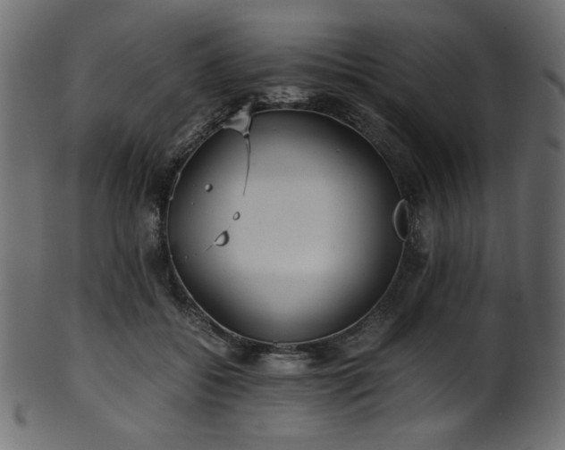 X0000101990556200807181150