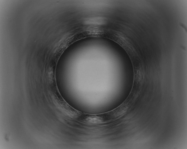 X0000101990557200807181150