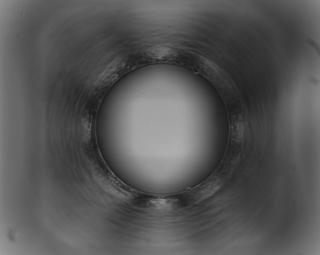 X0000101990558200807181150