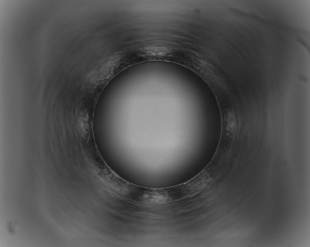 X0000101990559200807181150