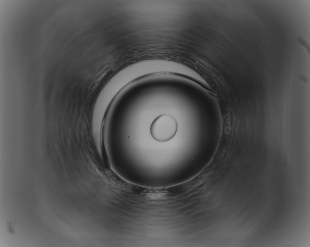 X0000101990560200807181150