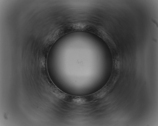X0000101990561200807181150