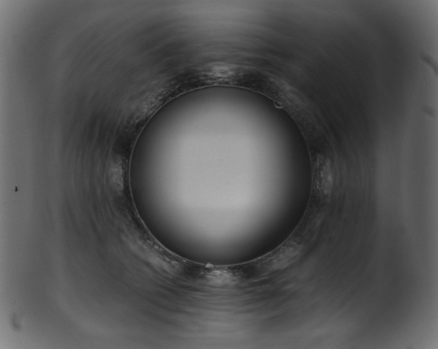 X0000101990562200807181150