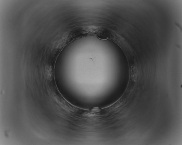 X0000101990563200807181150