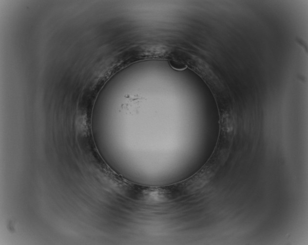 X0000101990564200807181150
