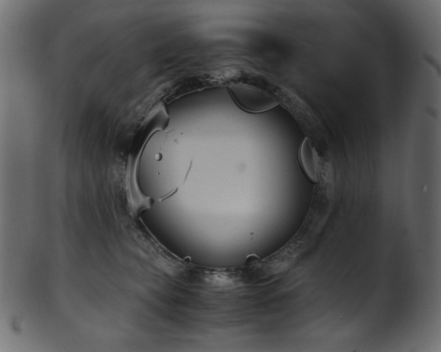 X0000101990565200807181150
