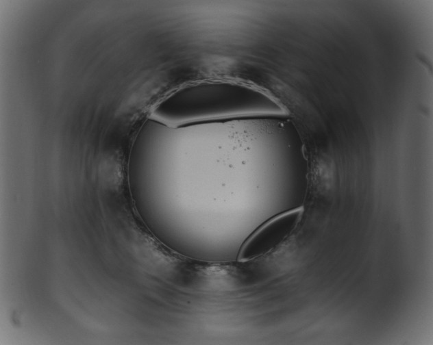 X0000101990566200807181150