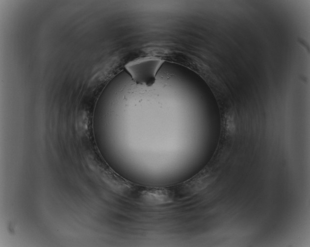 X0000101990567200807181150