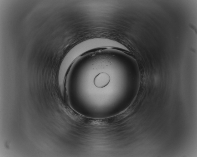 X0000101990568200807181150