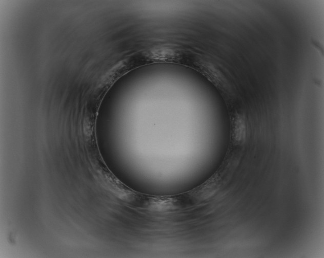 X0000101990569200807181150
