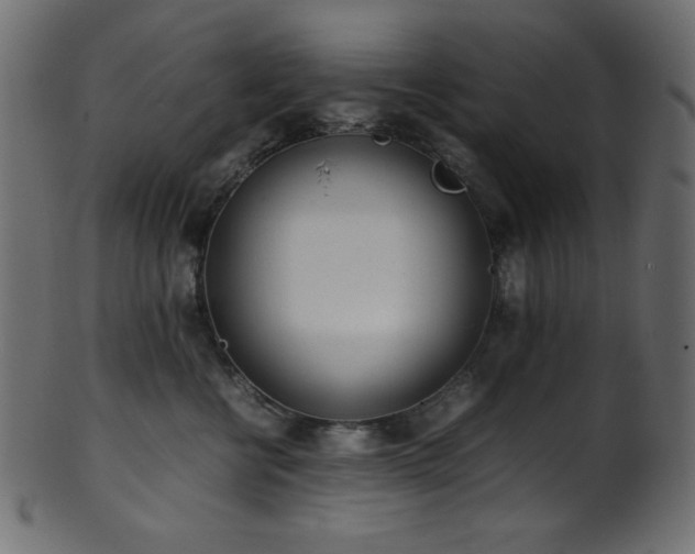 X0000101990570200807181150