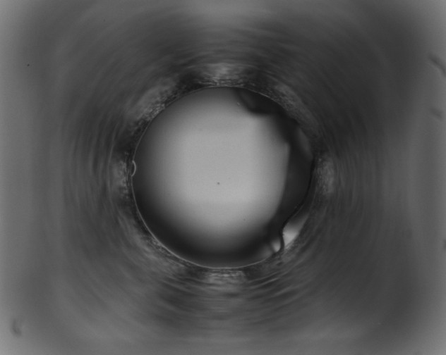 X0000101990571200807181150