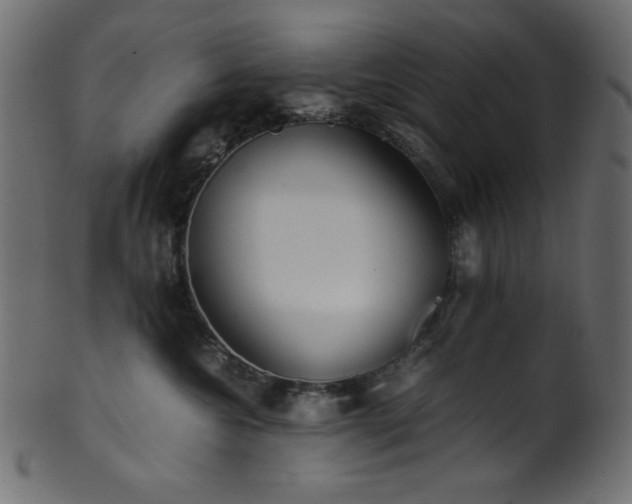 X0000101990572200807181150