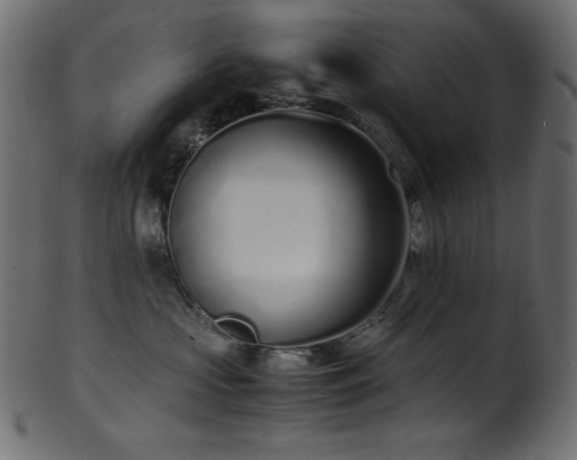 X0000101990573200807181150