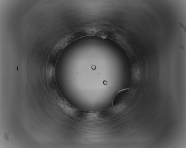 X0000101990574200807181150