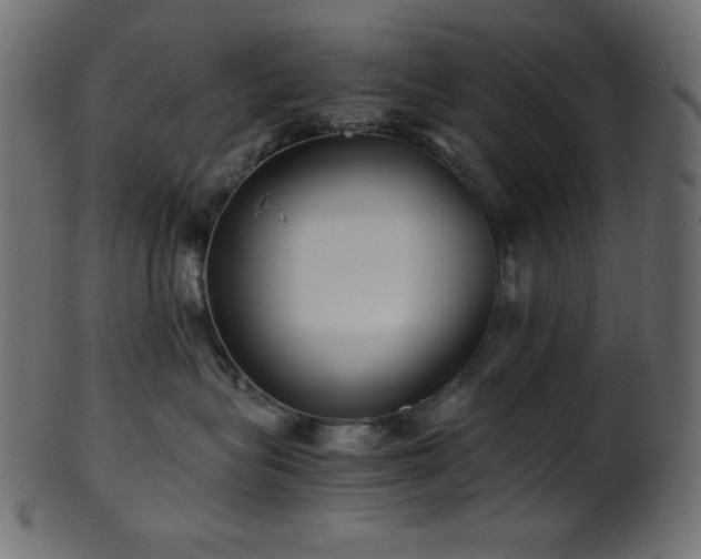 X0000101990575200807181150